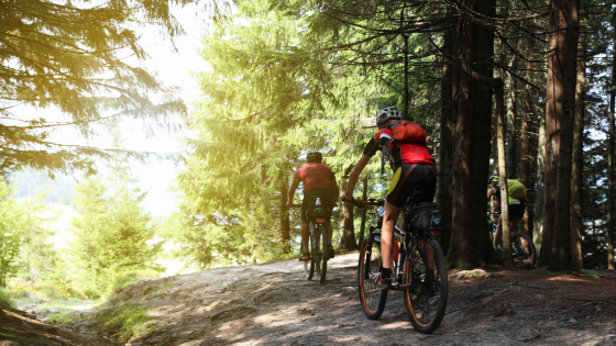 Where to Walk, Bike, and Explore This Spring Around the Twin Cities | Counselor Realty